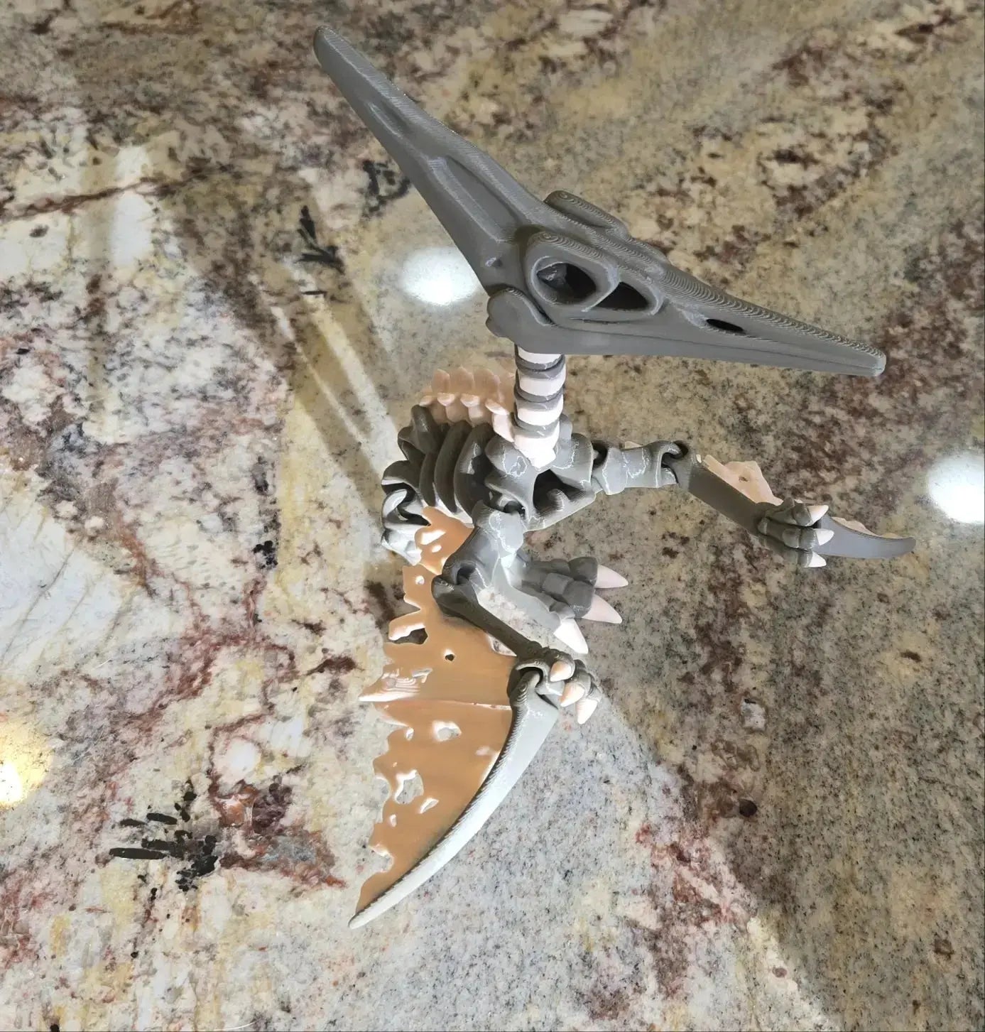 Articulated Skeleton Pterodactyl (XL Adult) OJAI3D