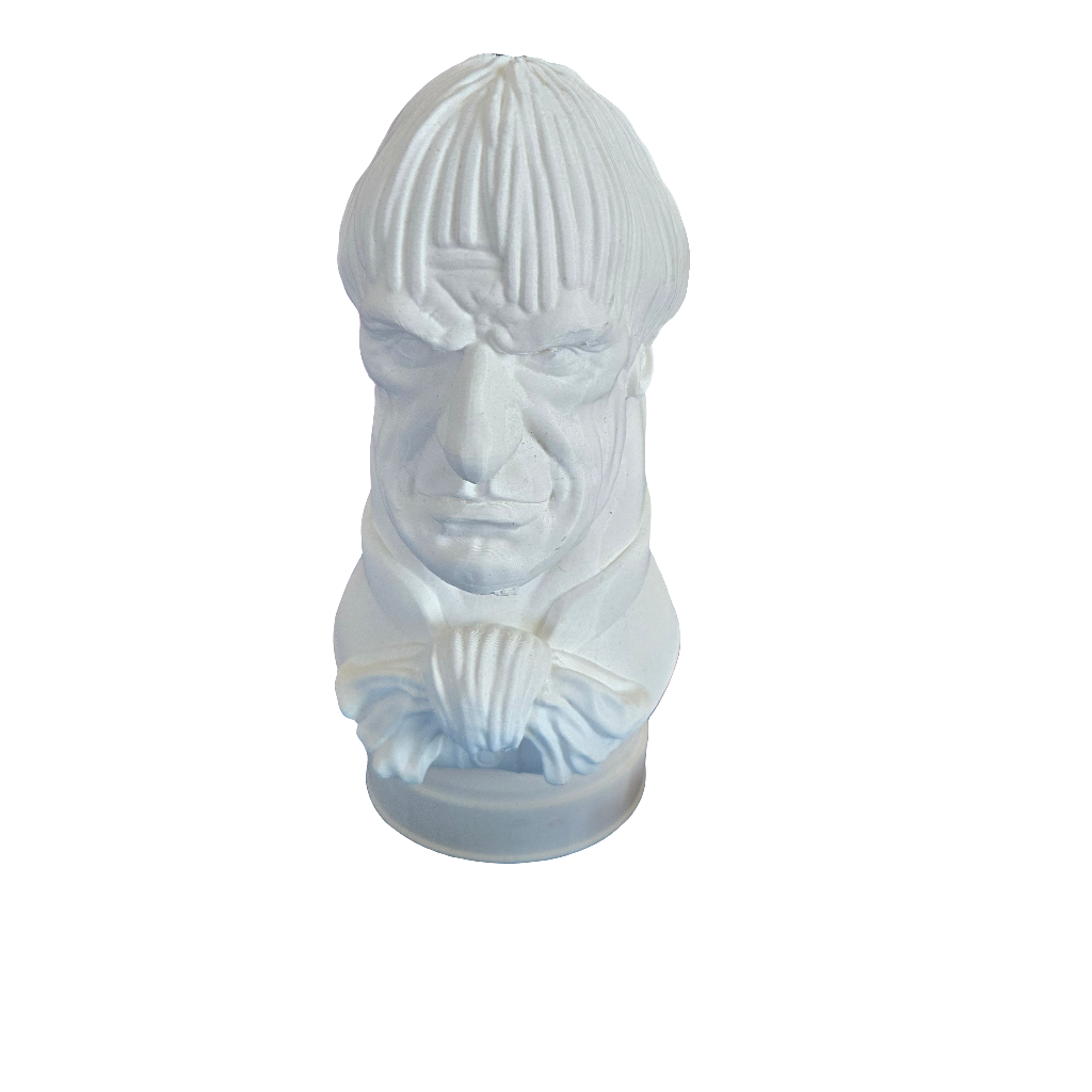 Haunted Bust Male