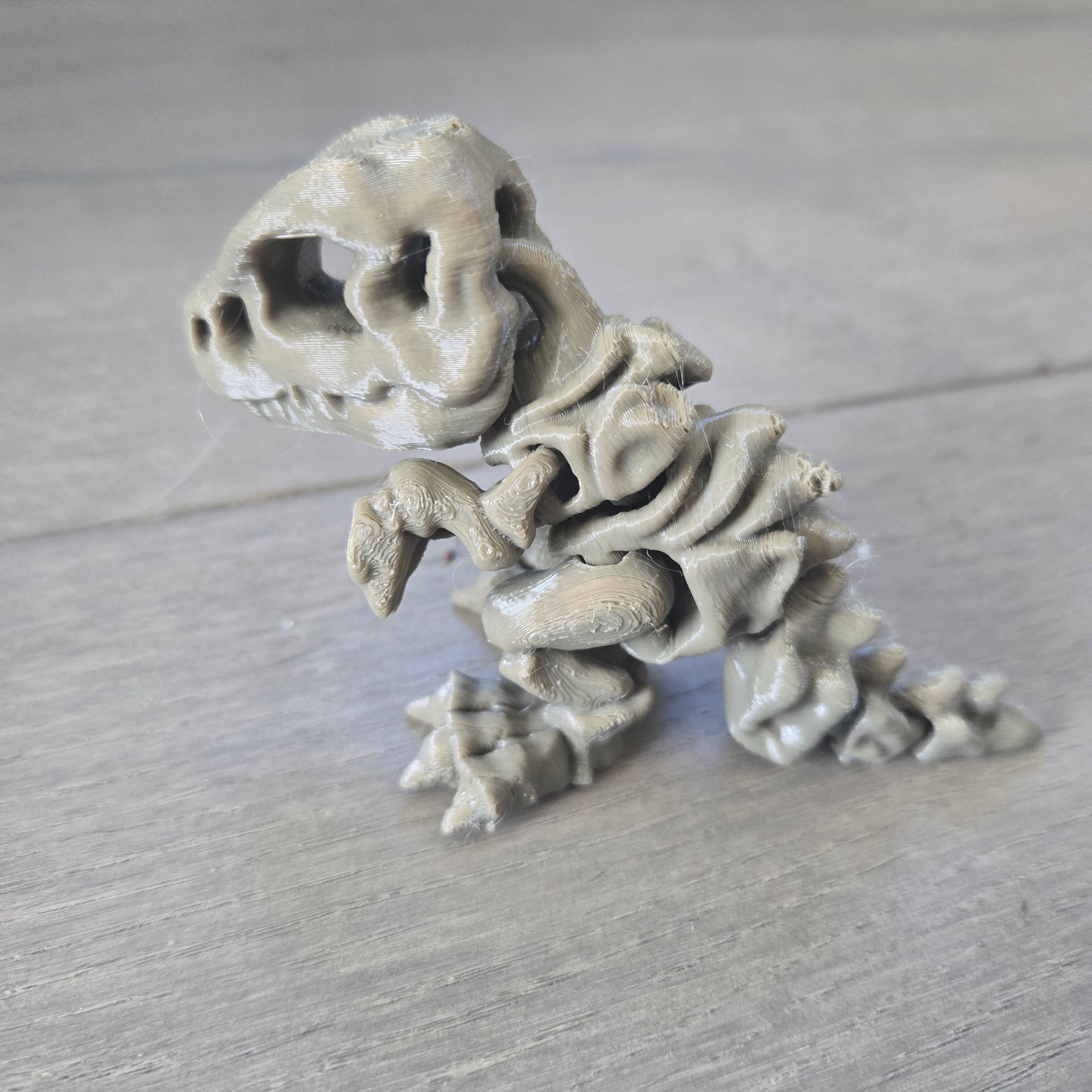Special TREX Skeleton CW3D