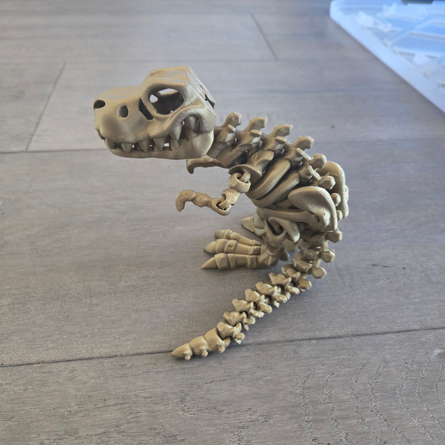 Skeleton T-REX