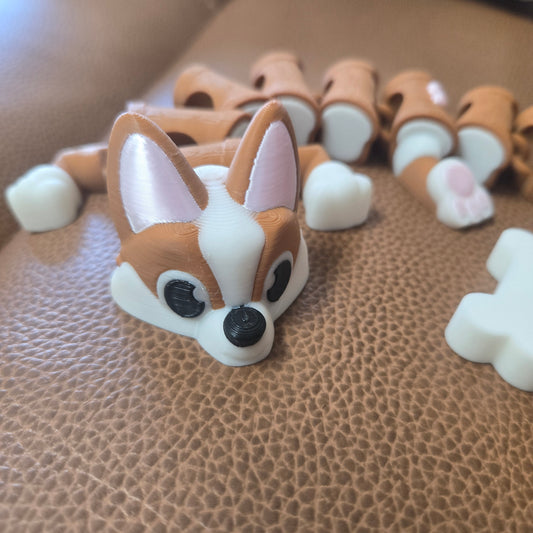 Corgi Dragon