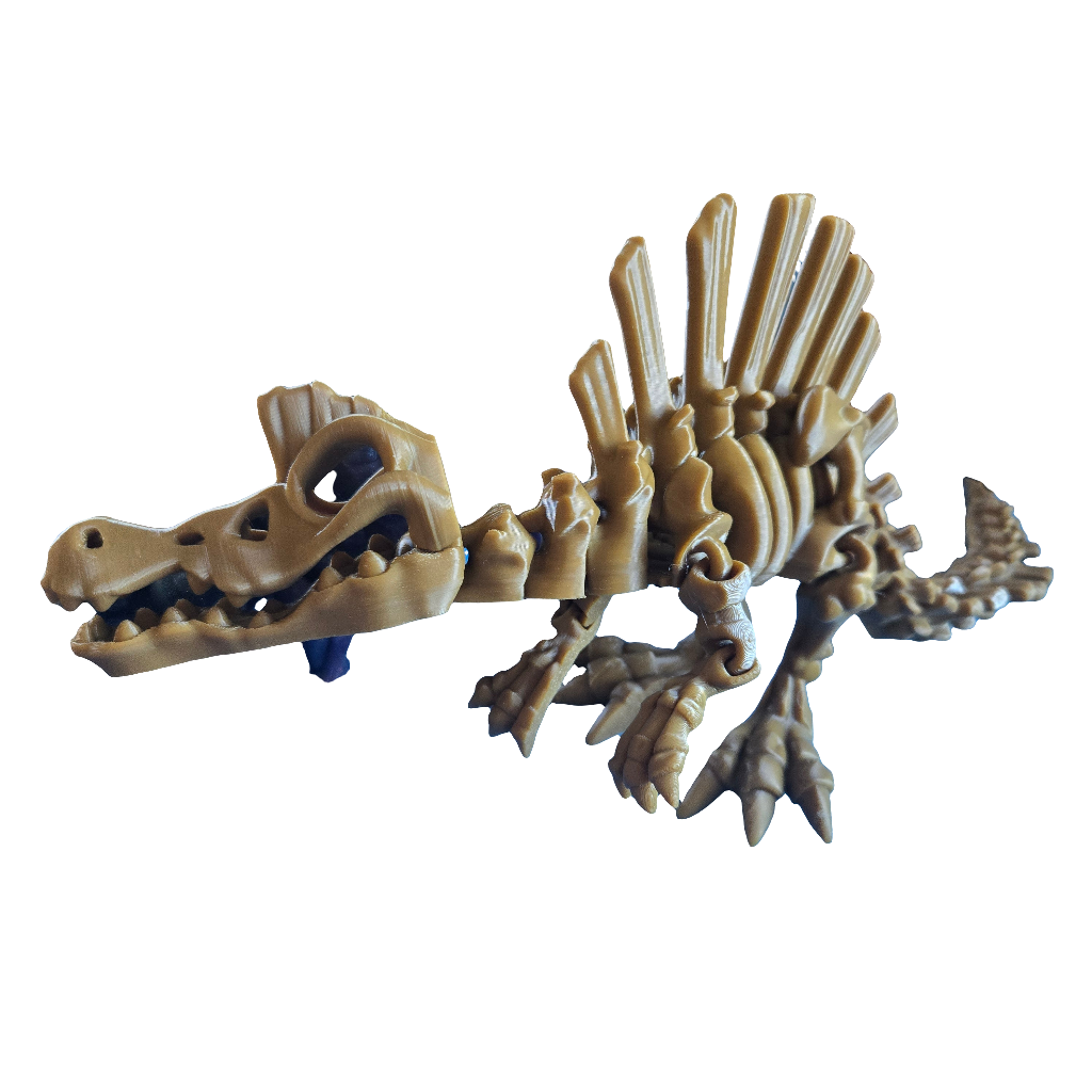 Spinosaurus Skeleton Dinosaur