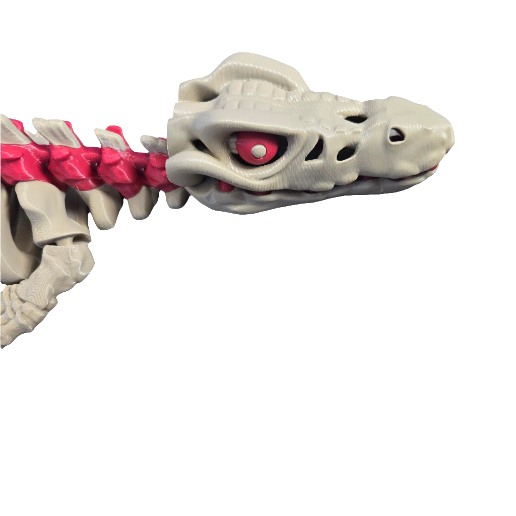 Skeleton Mosasaurus Full Color Adult