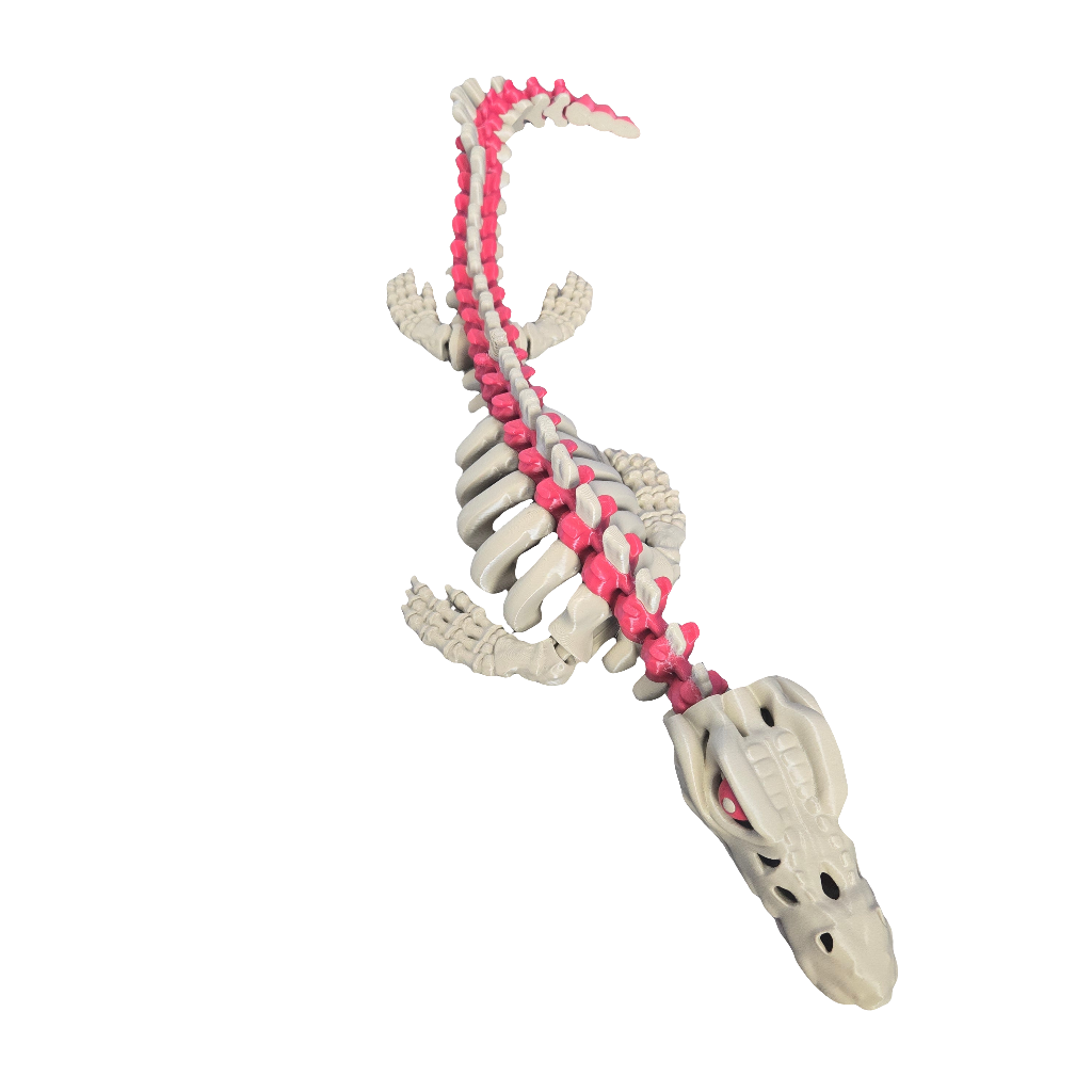 Skeleton Mosasaurus Full Color Adult