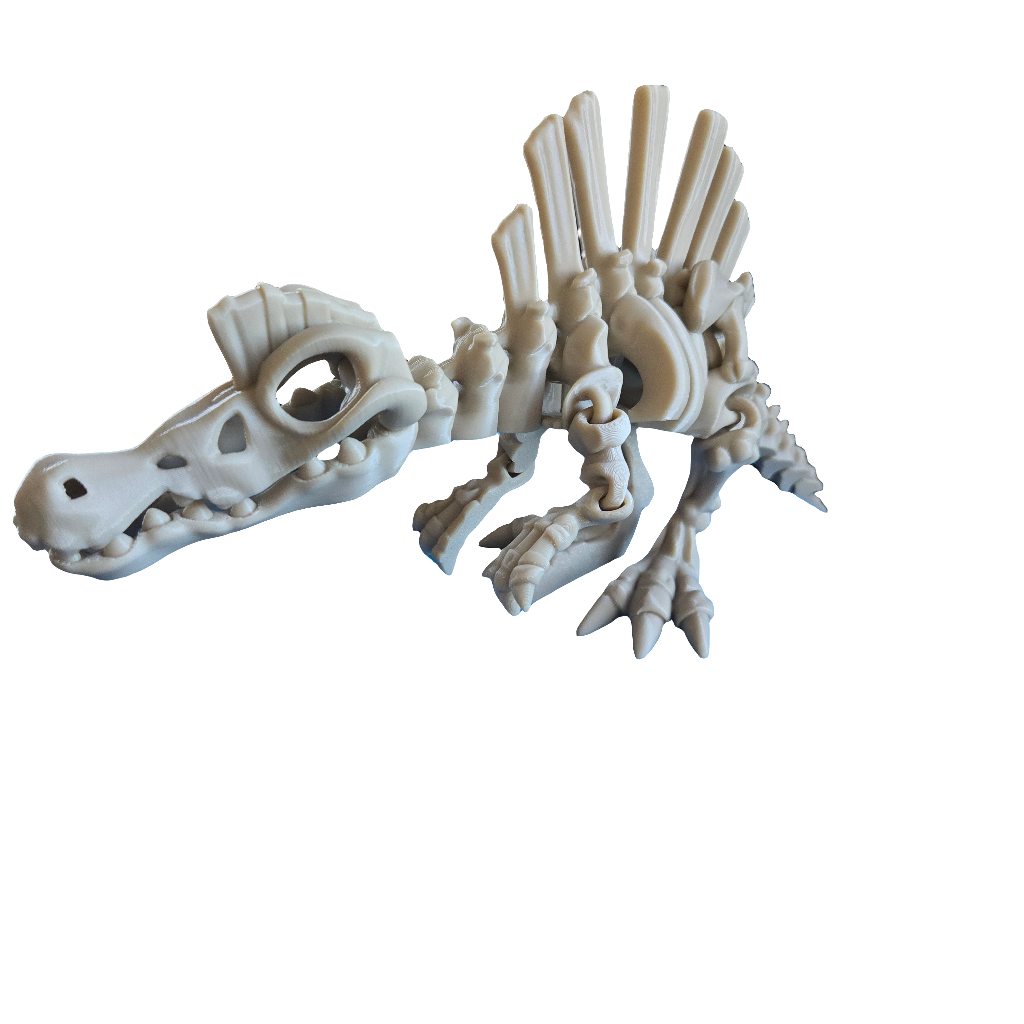 Spinosaurus Skeleton Dinosaur