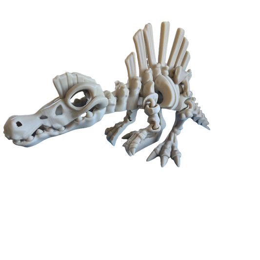 Spinosaurus Skeleton Dinosaur