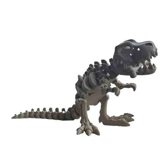 Skeleton TREX V1 (FF3D)