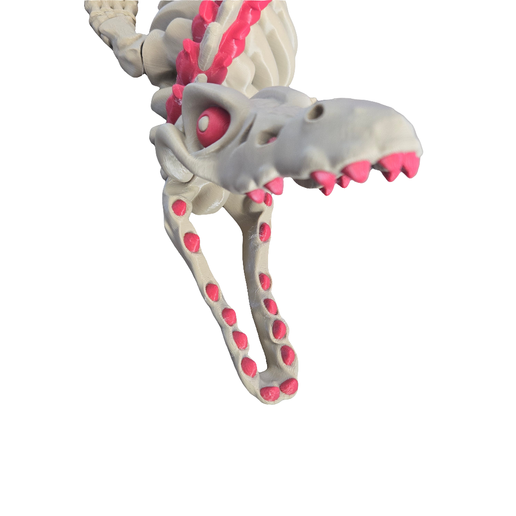 Skeleton Mosasaurus Full Color Adult