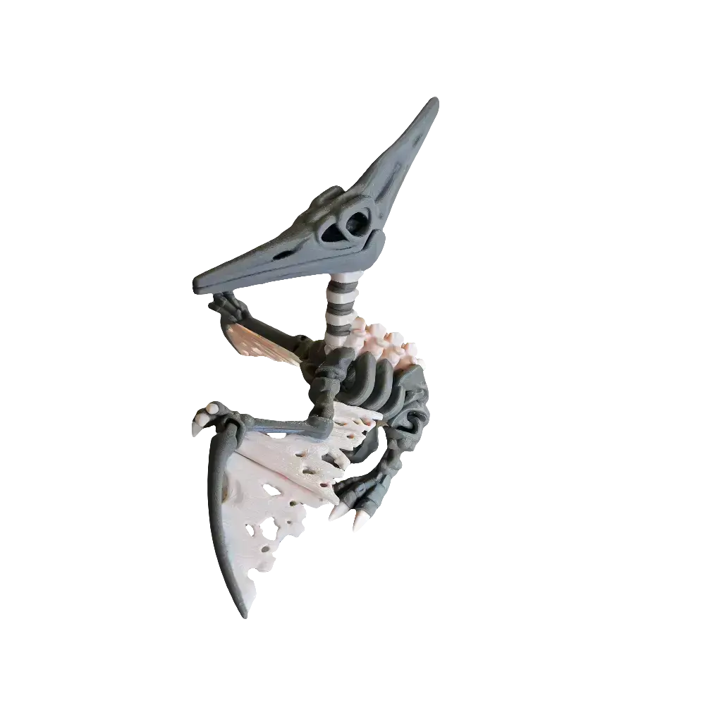 Articulated Skeleton Pterodactyl (Mega) OJAI3D