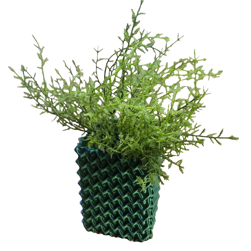 3D Vase (V1 Galaxy) (3DG) OJAI3D