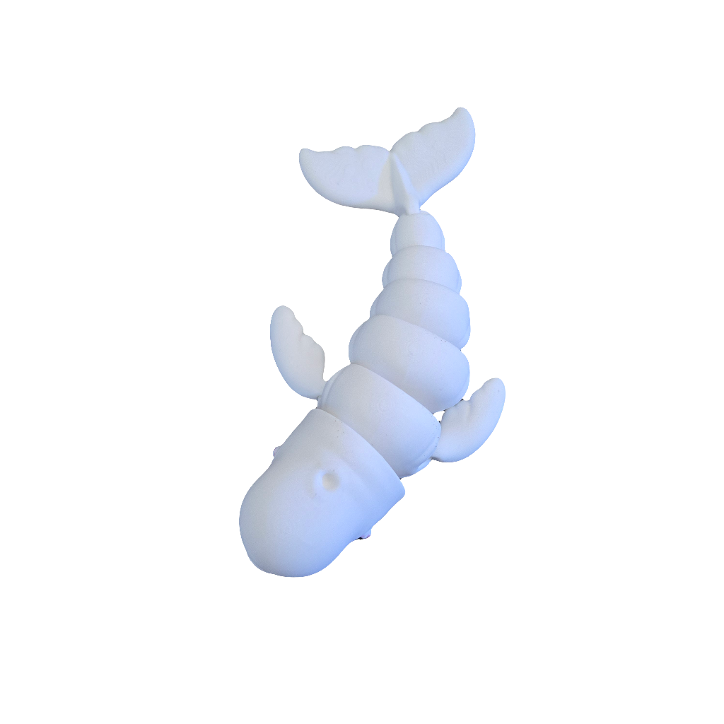 White Whale V1 (T3D)