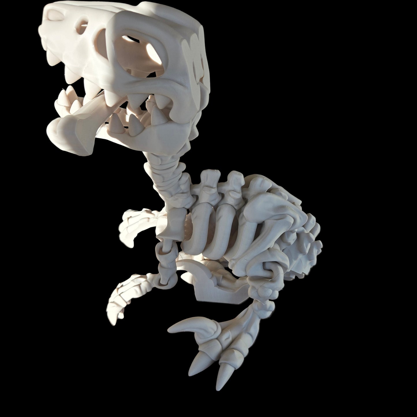 XXL Raptor With Articulation and Moveable head with removable bone