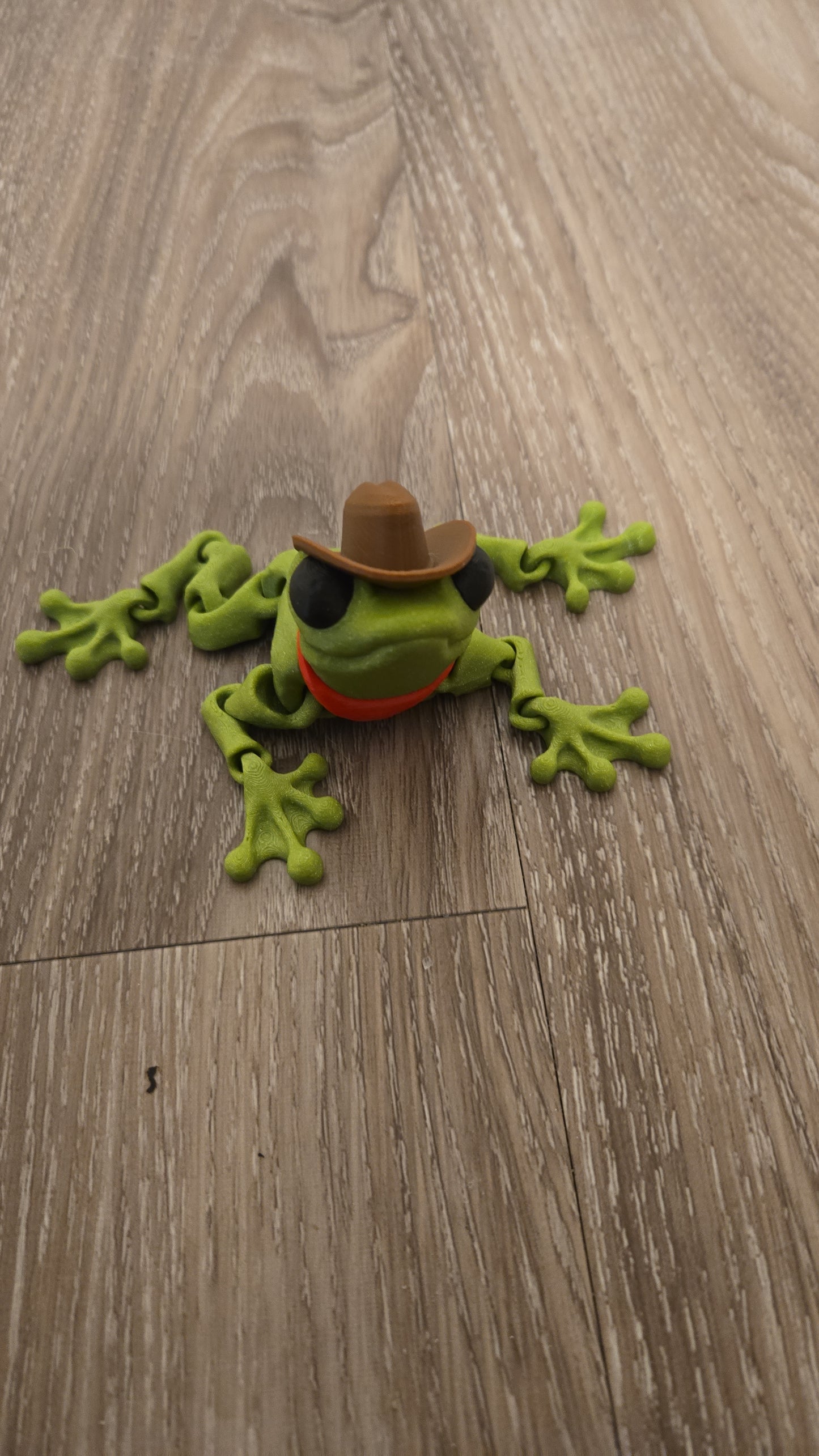 Cowboy Frog