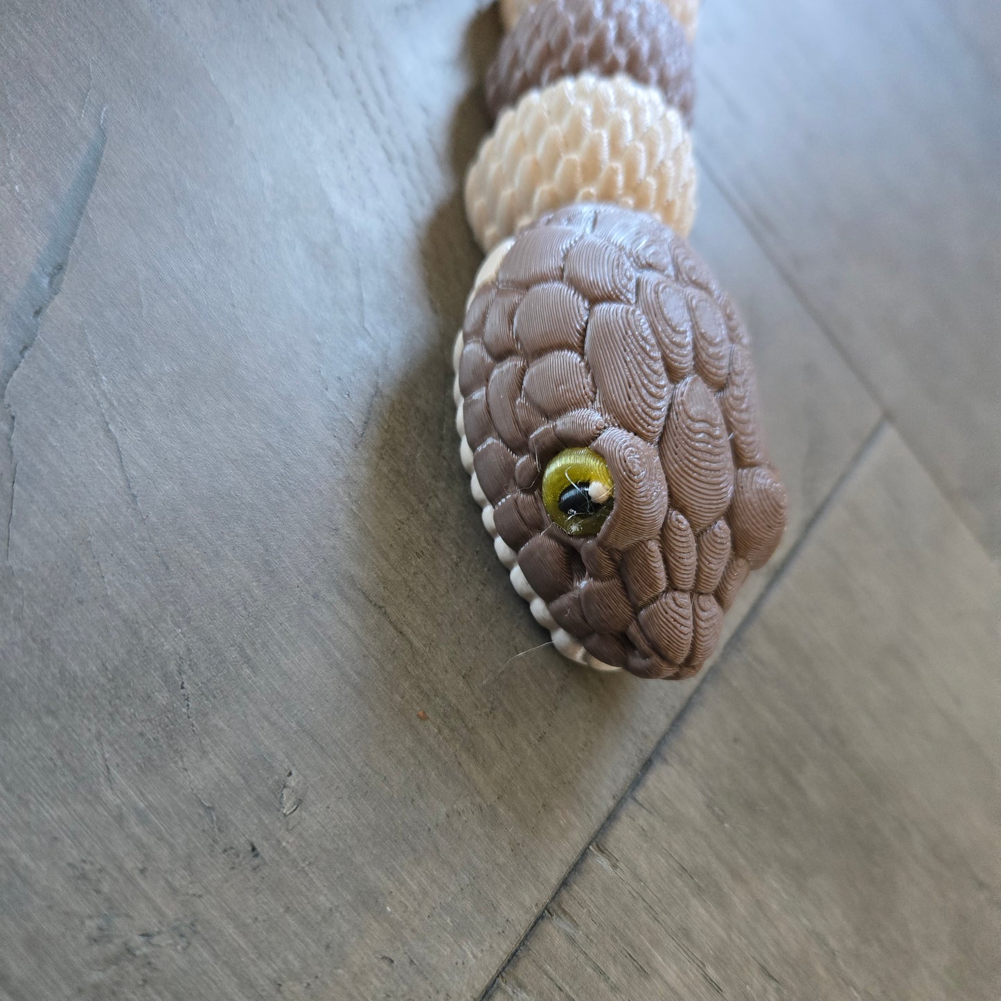 Copperhead Snake