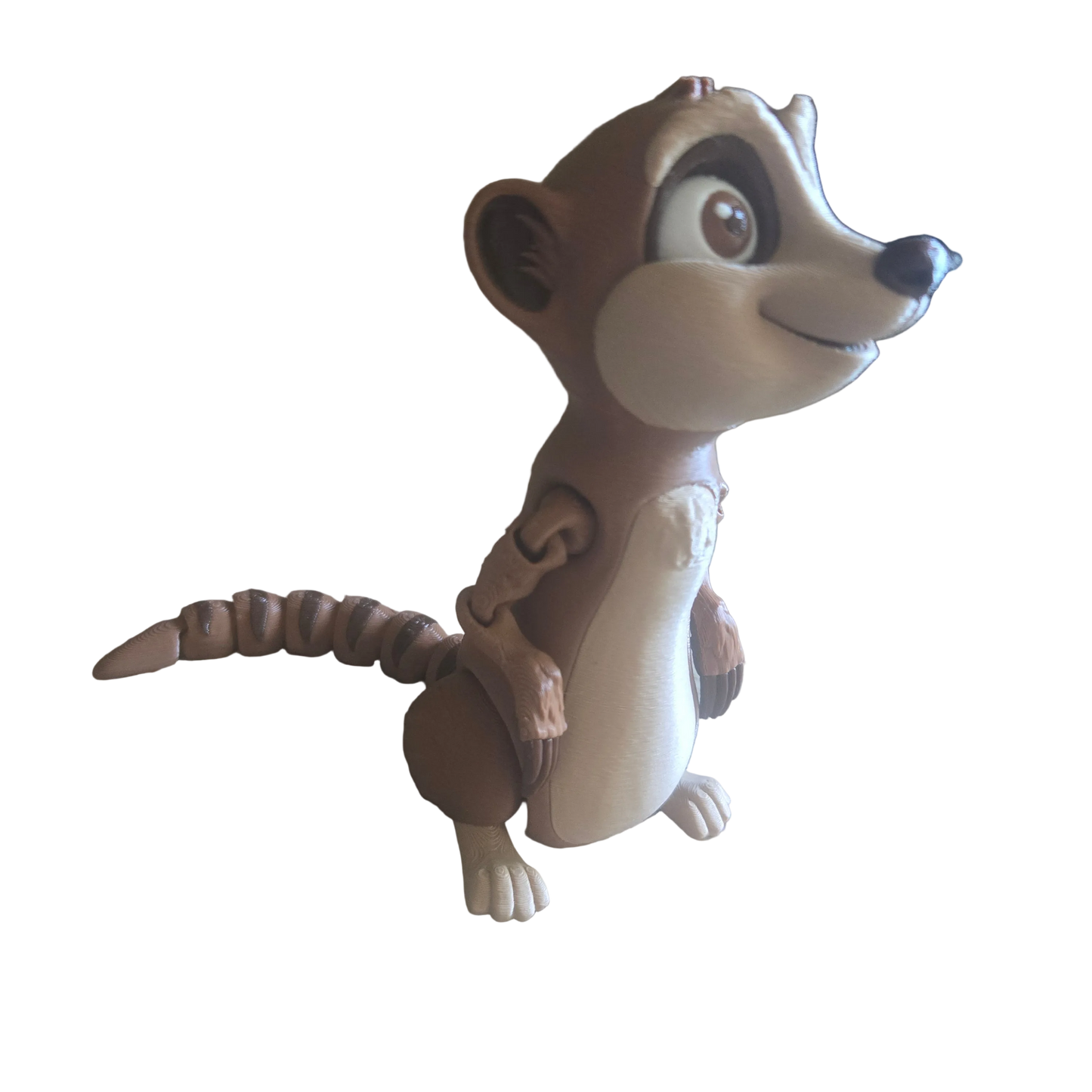 Meercat