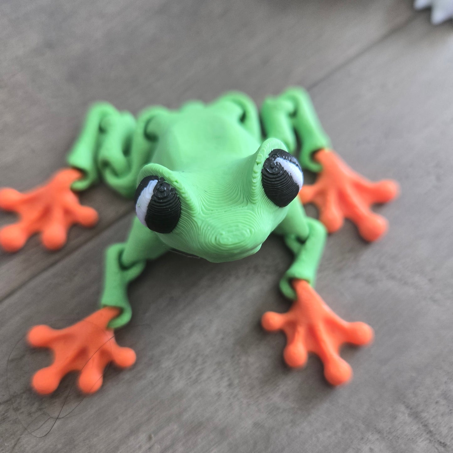 Baby Articulated Tree Frog