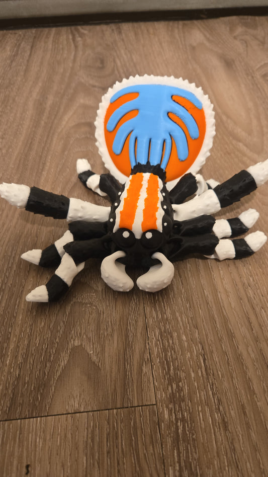Peacock Spider